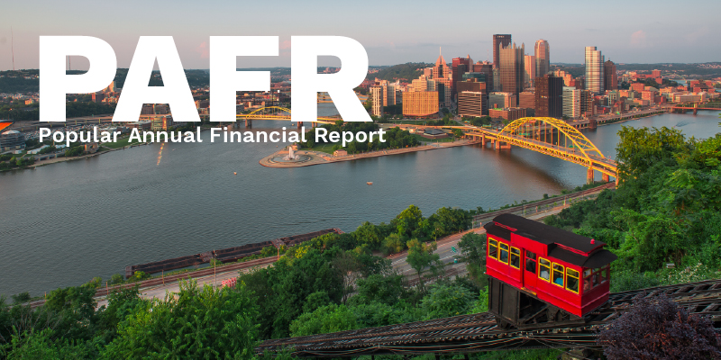 Popular Annual Financial Report