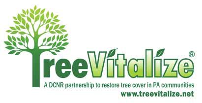 Tree Vitalize a DCNR partnership to restore tree cover in PA communities