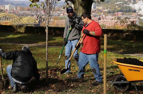 Forestry Division - Pittsburgh, PA