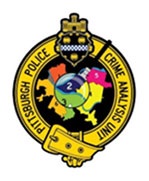 Police Data Analysis Unit Seal